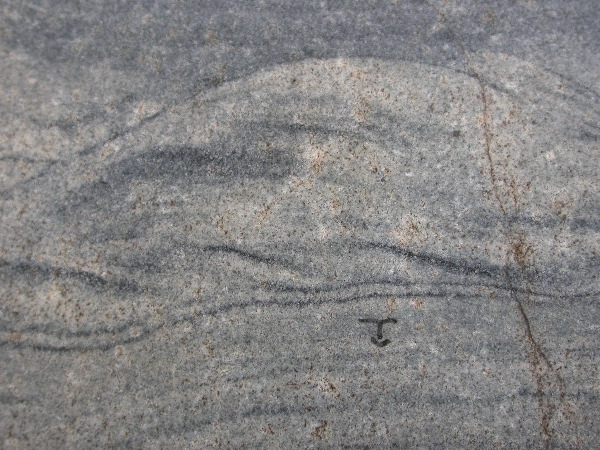 DSCN1262.JPG