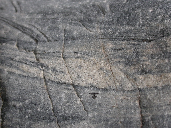 DSCN1263.JPG