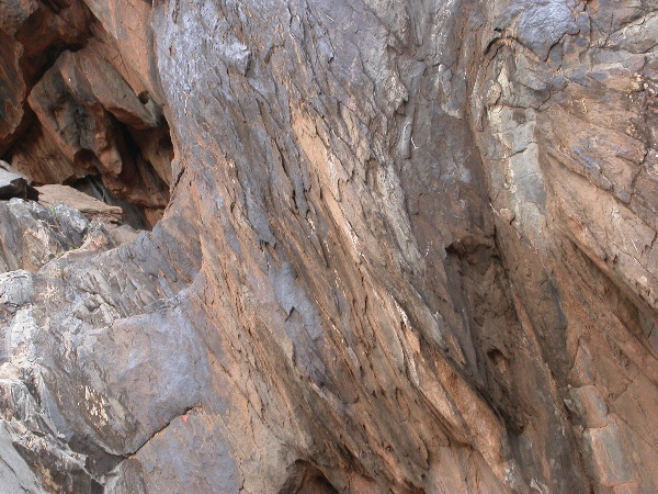 DSCN1271.JPG