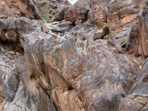 DSCN1272.JPG
