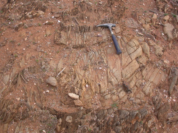 DSCN1273.JPG