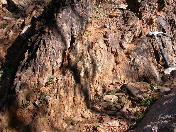 DSCN1277.JPG