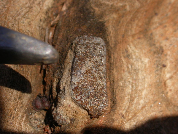 DSCN1278.JPG