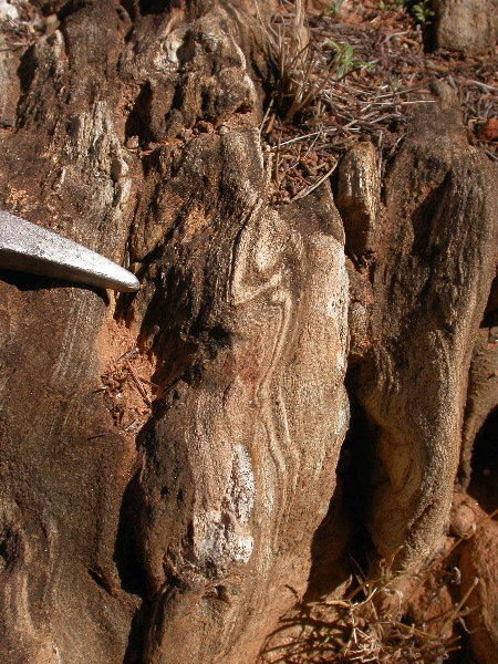 DSCN1279.JPG