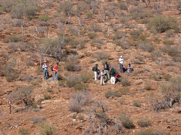 DSCN1281.JPG