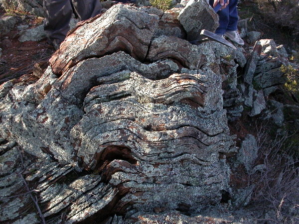 DSCN1285.JPG