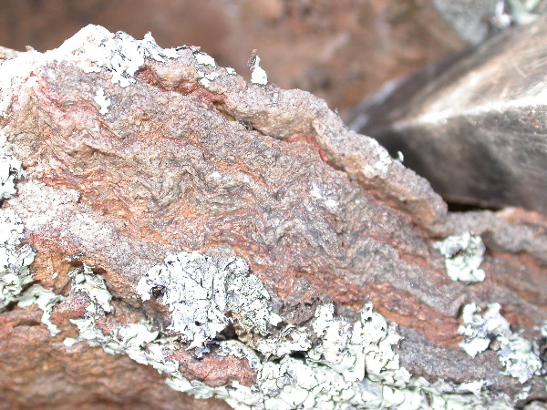 DSCN1286.JPG
