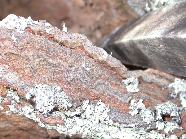 DSCN1287.JPG
