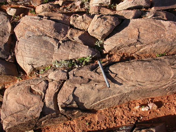 DSCN1299.JPG