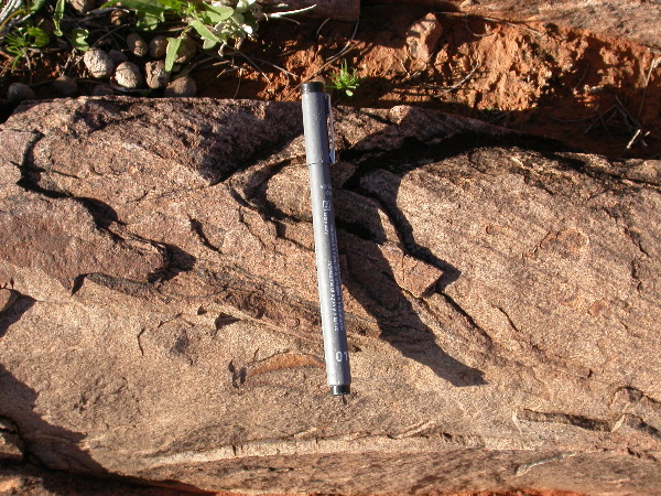 DSCN1300.JPG