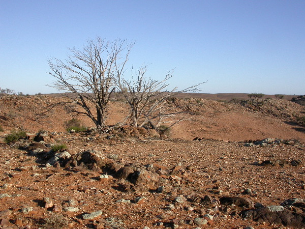 DSCN1302.JPG