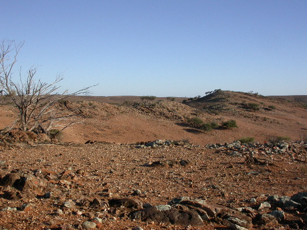 DSCN1303.JPG