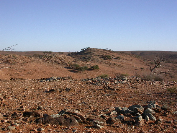 DSCN1304.JPG