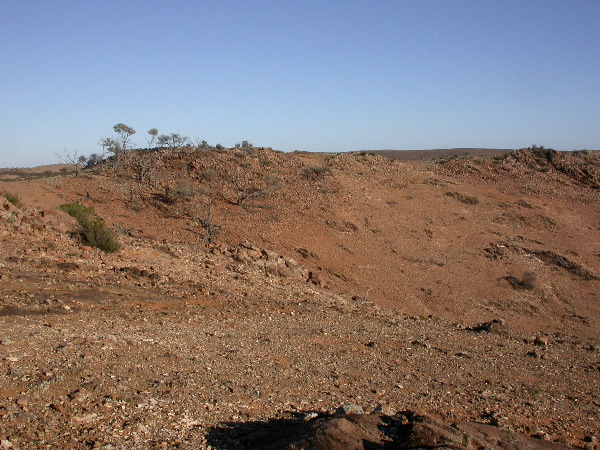 DSCN1306.JPG