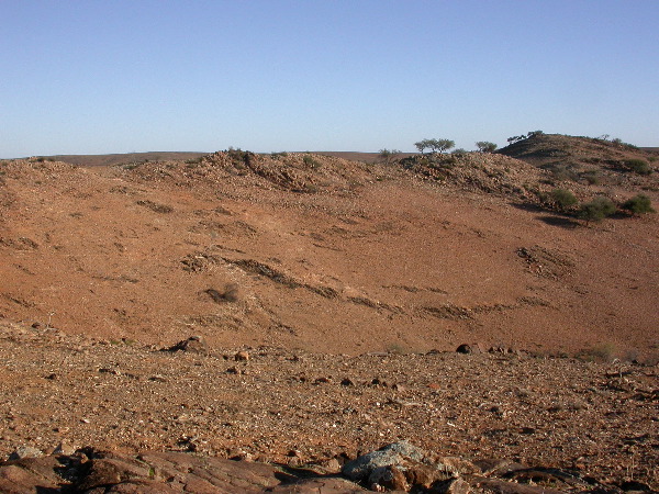 DSCN1308.JPG