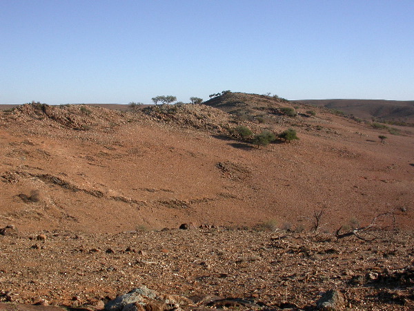 DSCN1309.JPG