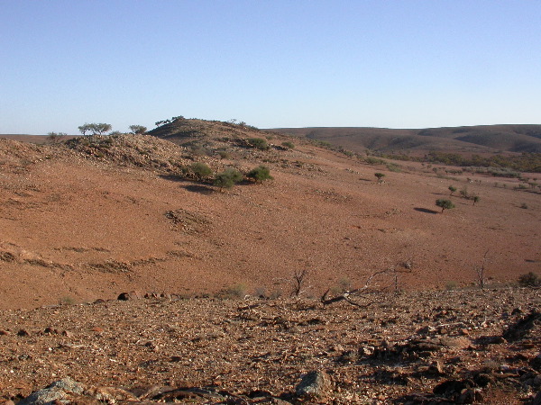 DSCN1310.JPG