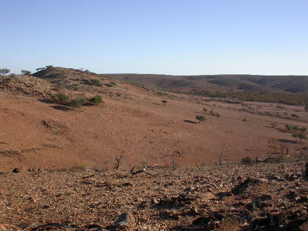 DSCN1311.JPG
