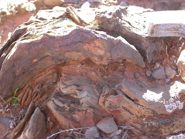 DSCN1313.JPG