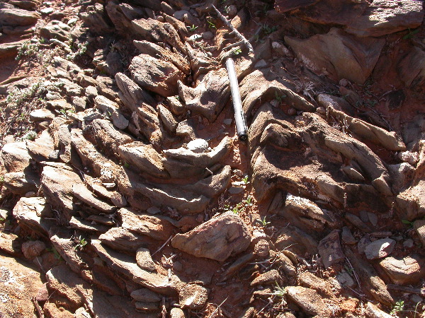 DSCN1316.JPG