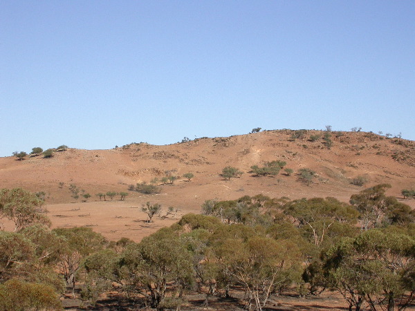 DSCN1317.JPG