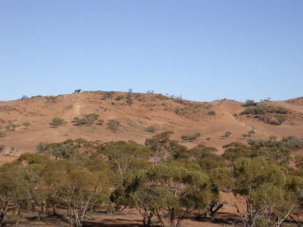 DSCN1318.JPG