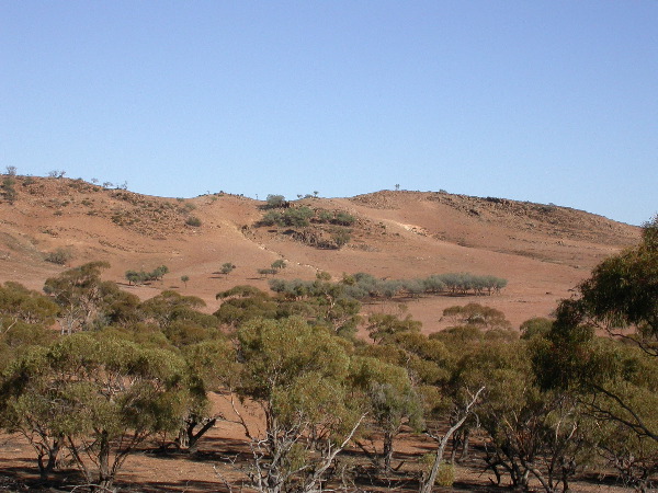 DSCN1319.JPG
