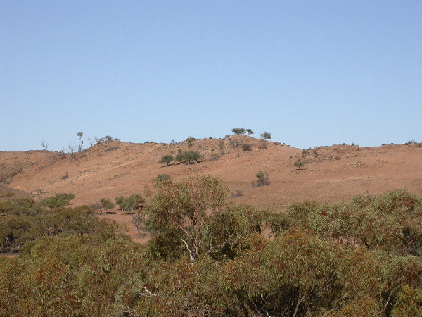 DSCN1320.JPG