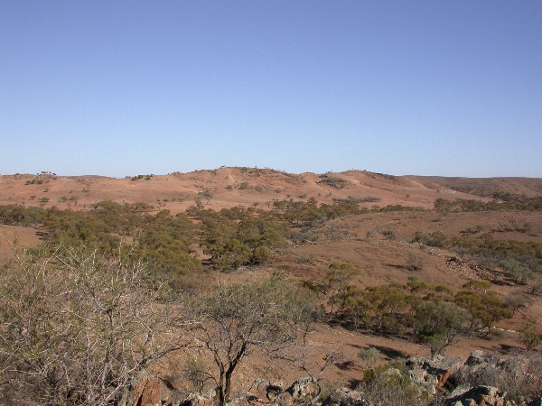 DSCN1321.JPG