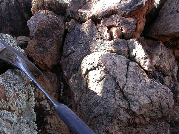 DSCN1323.JPG