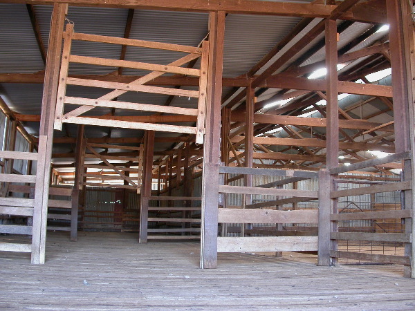 DSCN1334.JPG