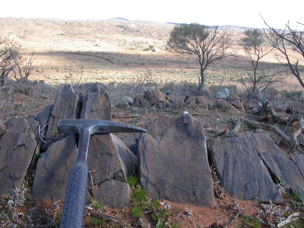 DSCN0990.JPG