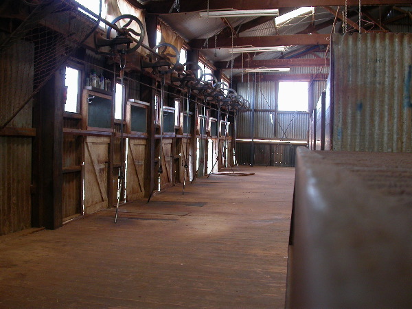 DSCN1336.JPG