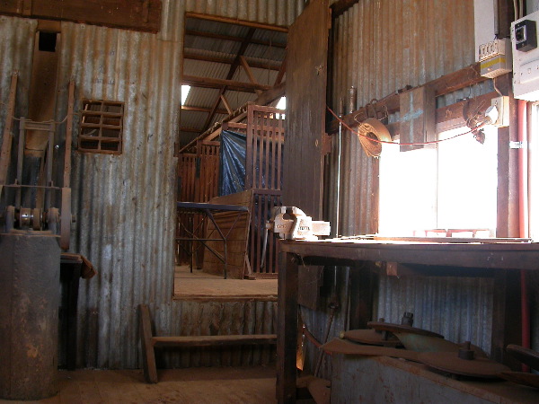 DSCN1340.JPG