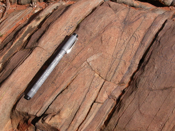 DSCN0992.JPG
