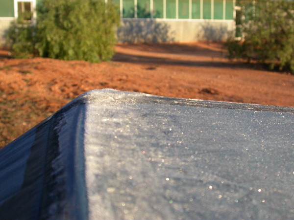 DSCN1393.JPG