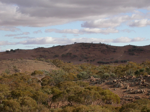 DSCN1422.JPG