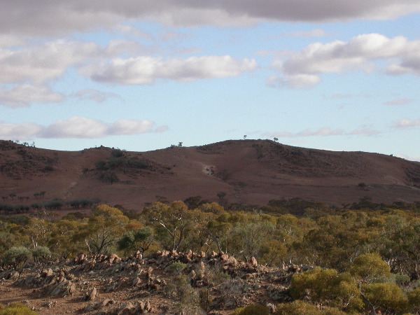 DSCN1425.JPG