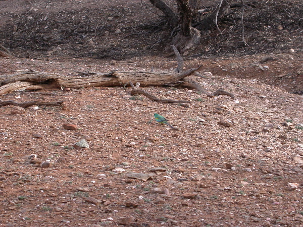 DSCN1428.JPG