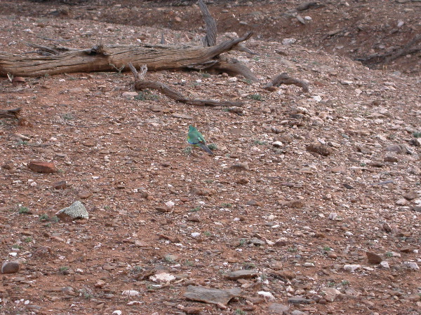 DSCN1429.JPG