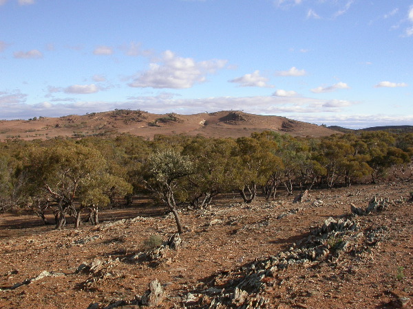 DSCN1430.JPG