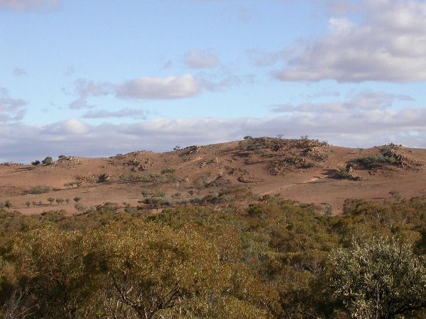 DSCN1431.JPG
