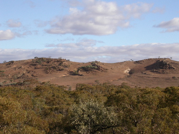 DSCN1432.JPG