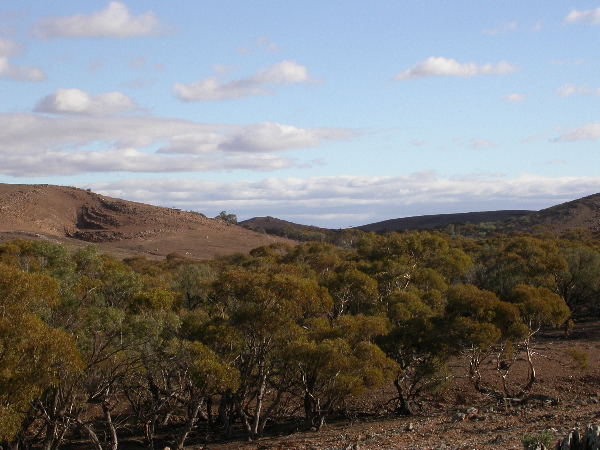 DSCN1435.JPG