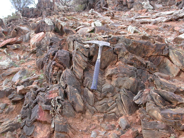 DSCN1437.JPG