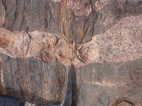 DSCN1001.JPG
