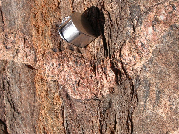 DSCN1003.JPG