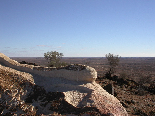 DSCN1514.JPG