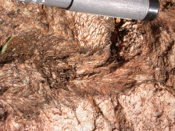 DSCN1006.JPG