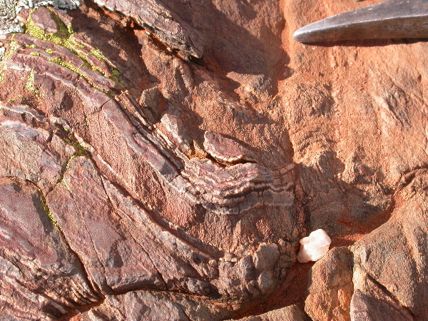 DSCN1008.JPG